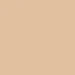 BFF Hydrating Liquid Concealer Corrector 03