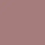 Matte Pleasure Lipstick Barra de Labios BE MY GREIGE