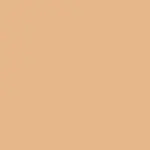 BFF Hydrating Liquid Concealer Corrector 05