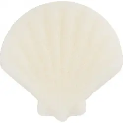 Esponja Facial de Konjac Cute As Shell