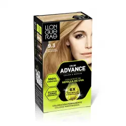 Color Advance Profesional 9.3 Rubio Muy Claro Dorado