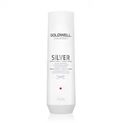 Silver Shampoo