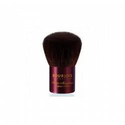 Pinceau Poudre 01