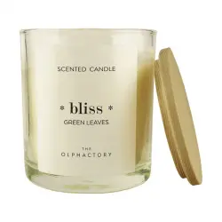 Ambientair - The Olphactory *Bliss* Green Leaves Velas 200 g unisex