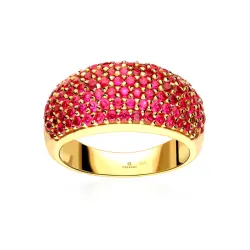 Anillo Ammyt