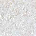 Milk Make-up - Gloss 6.5 ml GLOBETROT