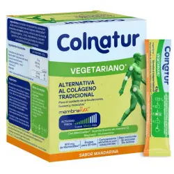 Vegetariano Sabor Mandarina