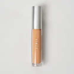 Blur Effect Concealer N4