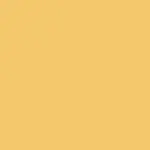 Pinza Para El Pelo Ziv Pinza cabello Oro