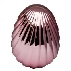 Cepillo Pelo