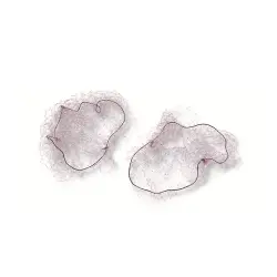Redecilla Cabello invisible #cabello castaño 2 u