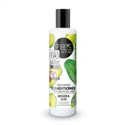 Repair Conditioner