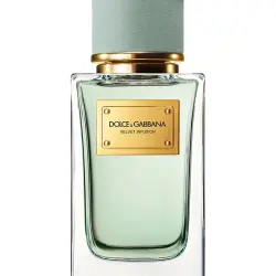 Eau de Parfum Velvet Infusion 100 ml Dolce & Gabbana