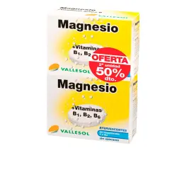 Magnesio + vitaminas b1, b2 y b6 2 x 24 comprimidos