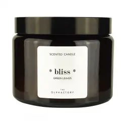 Ambientair - The Olphactory *Bliss* Green Leaves Velas 360 g unisex