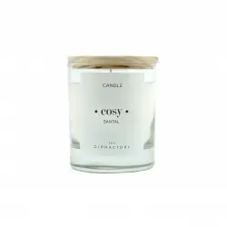 Ambientair - Vela Vaso 40 horas Santal The Olphactory Ambientadores 200 g female