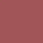 Make-up Lip Sin Barra de Labios 06 - IRISH COFFEE