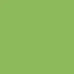 SOHO Coletero Neon Scrunchie en Verde Neón Goma de pelo SOHO Coletero Neon Scrunchie en Verde Neón