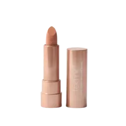 Lipstick Satin Sheen  Technic  Barras de labios