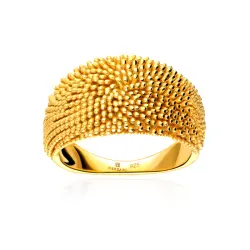 Anillo Anat