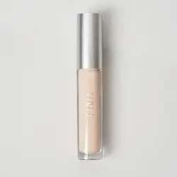 Blur Effect Concealer N2