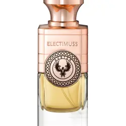 Eau de Parfum Auster Eternal 100 ml Electimuss
