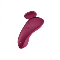 Sexy Secret Panty Vibrator