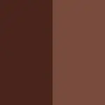 CHEEK THRILLS BRONZE & TONE DUOS Bronzer RIO CARNIVAL