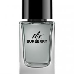 Burberry - Eau De Toilette Mr. 100 Ml