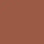 Complexion Boost Peptide Serum Bronzer WAVE