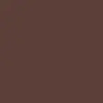 Sculptwear Long-Lasting Delineador de labios COCOA CORSETED