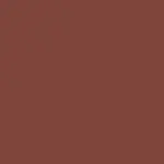 Complexion Boost Peptide Serum Bronzer BURST