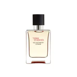 Terre D'Hermès Men Eau de Parfum Intense 50 ml