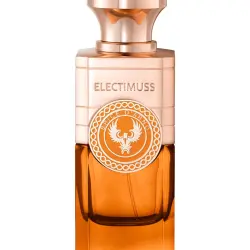 Eau de Parfum Spice D'Arno Explorer 100 ml Electimuss