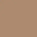 Shapelifter Micro Contouring Stick TONED