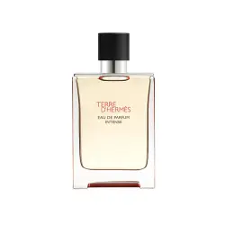 Terre D'Hermès Men Eau de Parfum Intense 100 ml