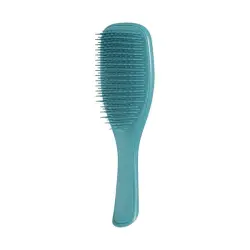 Wet detangler Transformative Teal
