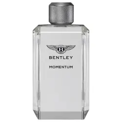 Bentley - Momentum Perfumes 100 ml male