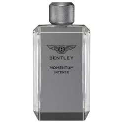 Bentley - Momentum Intense Perfumes 100 ml male
