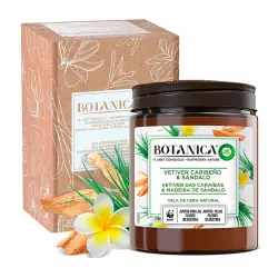 Air Wick - *BOTANICA by Air Wick* - Vela de cera de origen natural 500g - Vetiver Caribeño