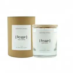Ambientair - Vela Vaso 40 horas Palo Santo The Olphactory Ambientadores 200 g female