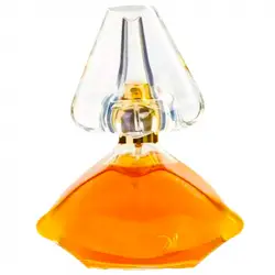Dali Femme Eau De Parfum 100 Ml
