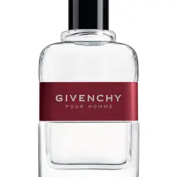 Eau de Toilette Pour Homme 100 ml Givenchy