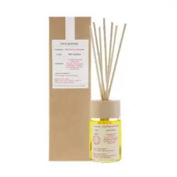 Ambientair Mikado Good For Home Cinnamon Orange 100 ml 100.0 ml