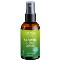 Natural Basics Desodorante Spray Sensible Aloe