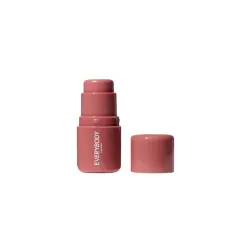 Everybody London - *Beauty to Go* - Mini colorete en stick - Dusty Pink