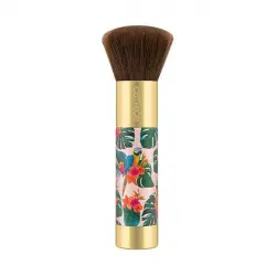 Tropic Exotic Brocha Para Iluminador Y Bronceador