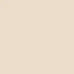 COLOUR SHIELD Maquillaje Aerografo Spray corporal PEARL