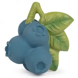 Jerry the Blueberry Mordedor