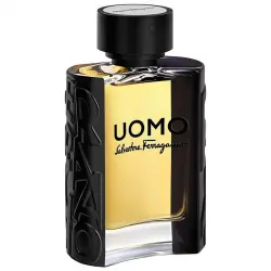 Salvatore Ferragamo - Uomo Perfumes 100 ml male